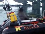 Un éléphant de mer essaie de voler un bateau