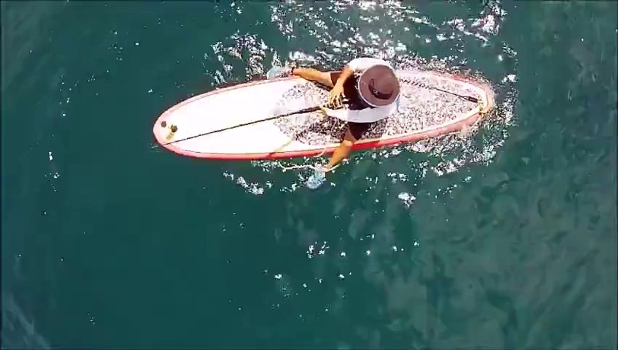 Il pêche un poisson de 2m sur sa planche de surf ! Grand malade !