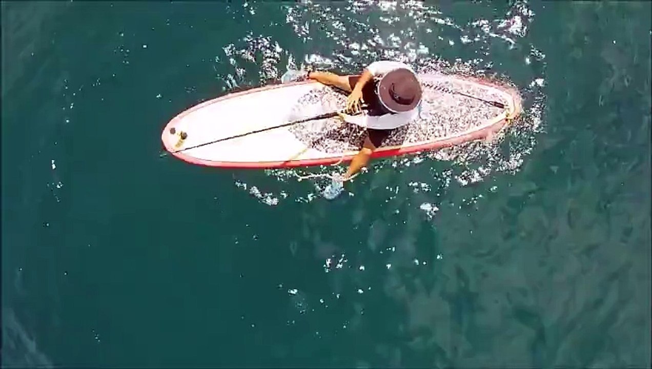 Il pêche un poisson de 2m sur sa planche de surf ! Grand malade !