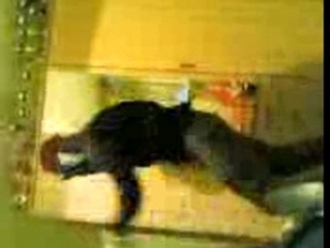 rai versus danse bizarre