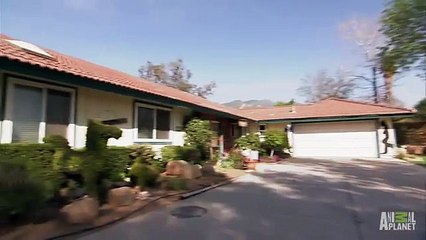 ல핸드폰소액결제현금화/ᗢ/OIO-3Ο47-Ο759/ᗢ*/〘정보이용료 현금화〙안전한 Τ머니  핸드폰소액대출