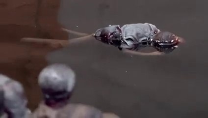 Le Dismaland de Banksy