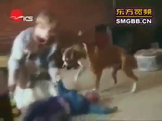 動物ハプニング１（金子涼平選）