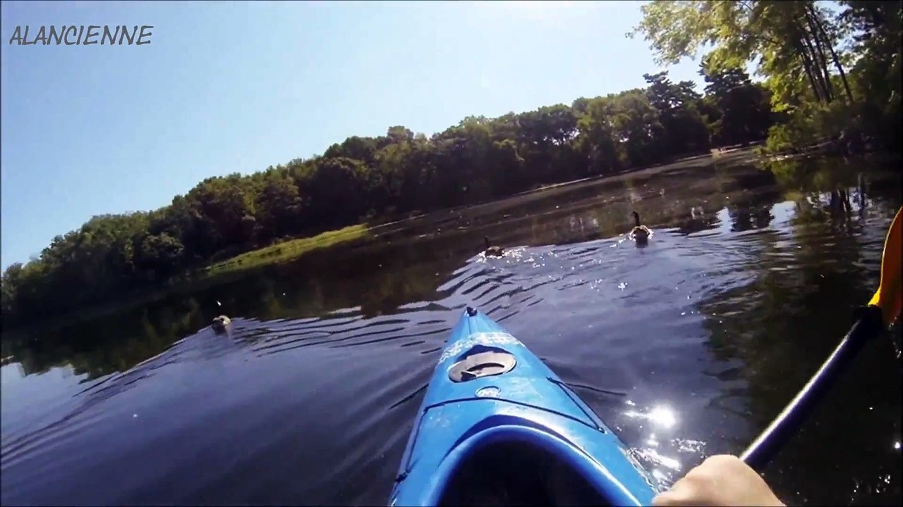 PEOPLE ARE AWESOME NEW HD POV