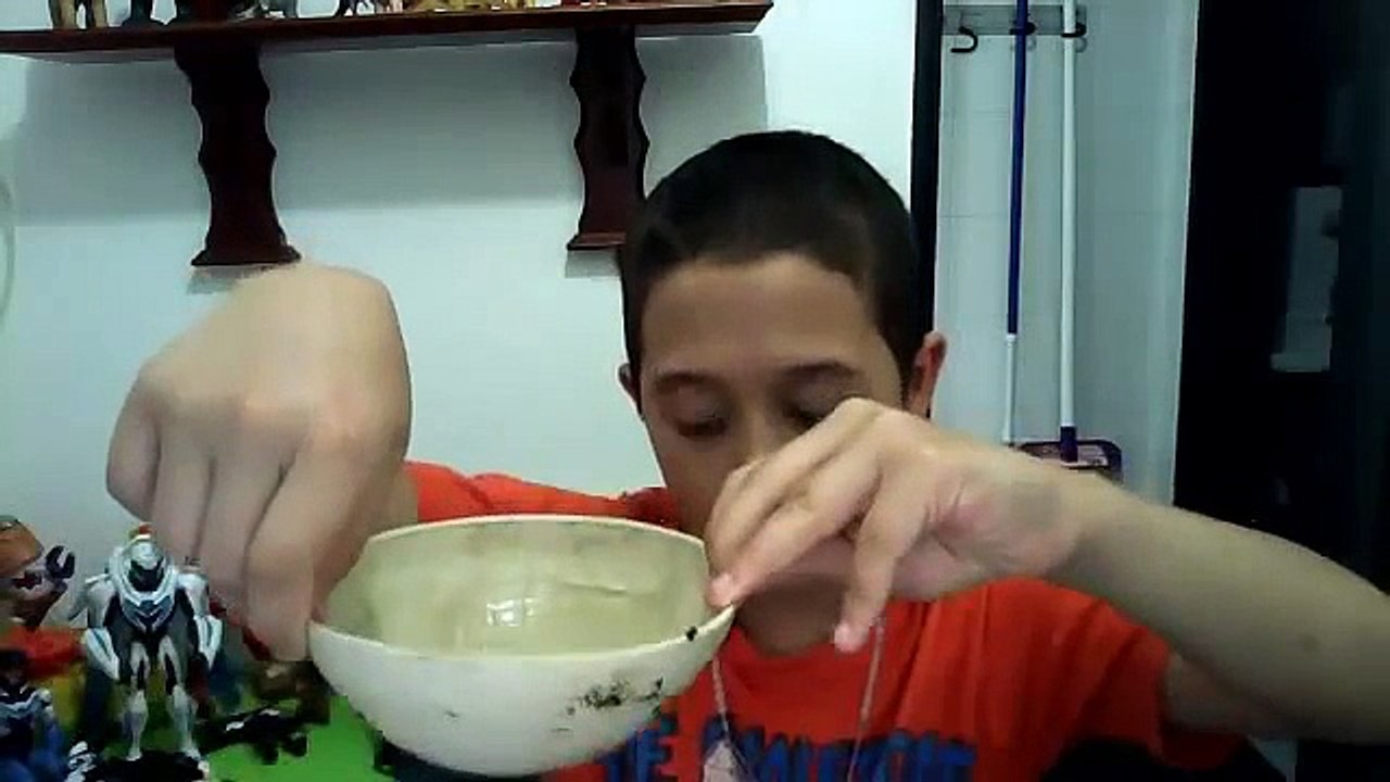 como hacer un terrario casero para ranas y sus cuidados (parte 1)