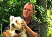 子犬のトレーニング・ビデオ - 子犬のグルーミング（エピソード9）