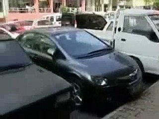 A Cat Tries To Save His Injured Friend