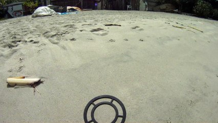 Nas praias de Ubatuba, em busca da vida, da felicidade,  da Natureza, dos mares, ,,,