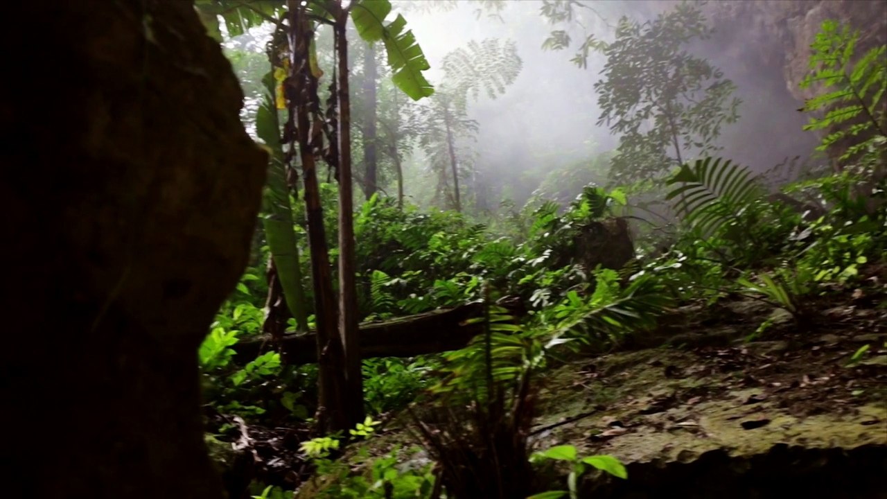 SonDoong Cave Vietnam