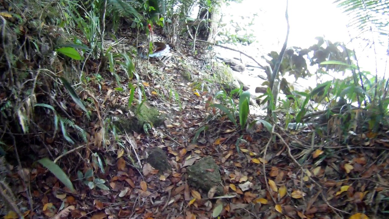 Nas praias de Ubatuba, em busca da vida, da felicidade,  da Natureza, dos mares, ,,,