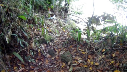 Nas praias de Ubatuba, em busca da vida, da felicidade,  da Natureza, dos mares, ,,,