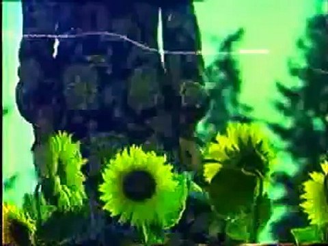 Gülden Karaböcek - KIR ÇİÇEKLERİ Söz Müzik Ferdi Tayfur