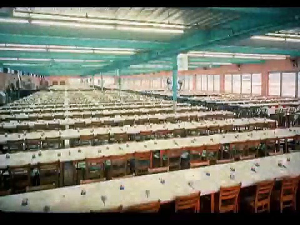 You Must Be This Tall: The Story of Rocky Point Park