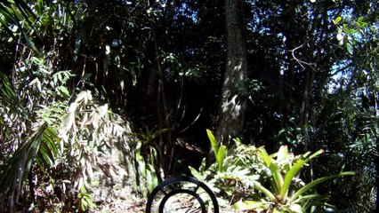 Nas praias de Ubatuba, em busca da vida, da felicidade,  da Natureza, dos mares, ,,,