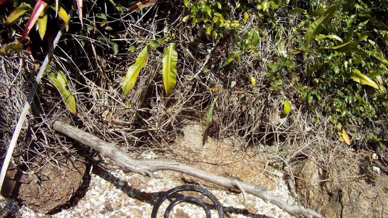 Nas praias de Ubatuba, em busca da vida, da felicidade,  da Natureza, dos mares, ,,,