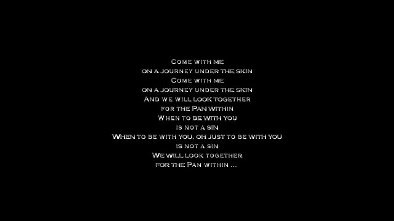 The Waterboys 'The Pan Within'