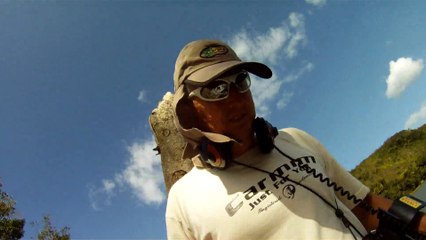 Nas praias de Ubatuba, em busca da vida, da felicidade,  da Natureza, dos mares, ,,,