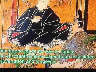 トラッドジャパン　菊 Japanese culture introduction 　Chrysanthemum