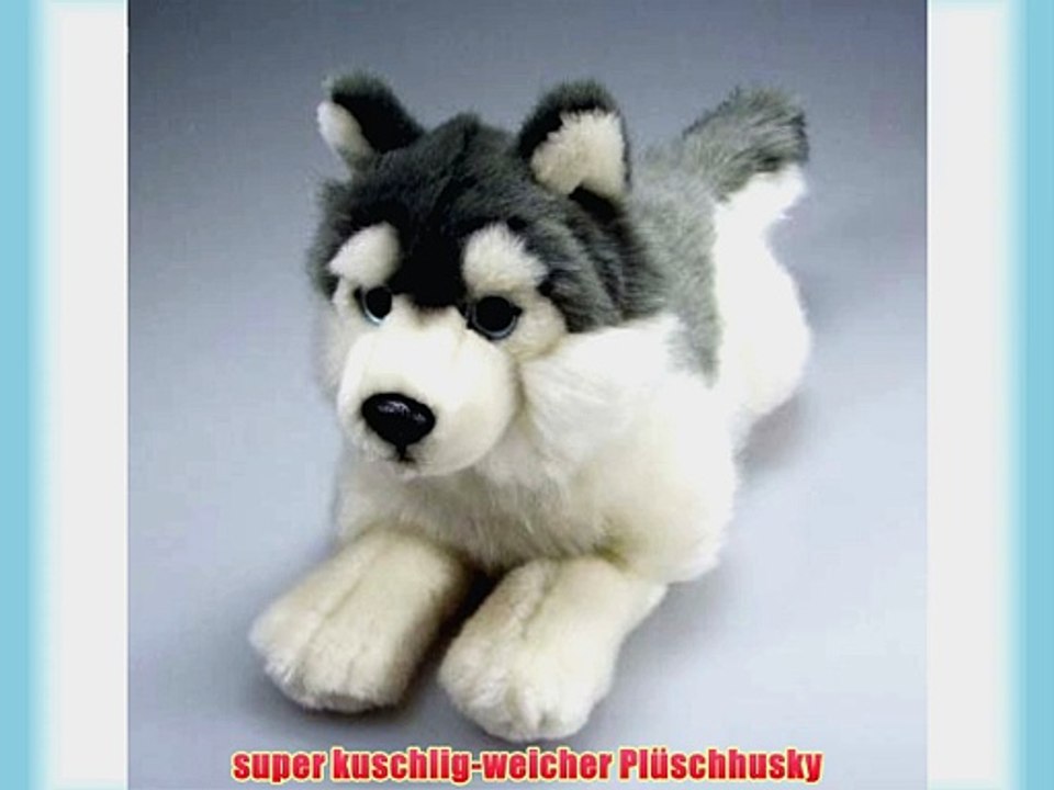 Husky Schlittenhund * Pl?schtier * 35cm