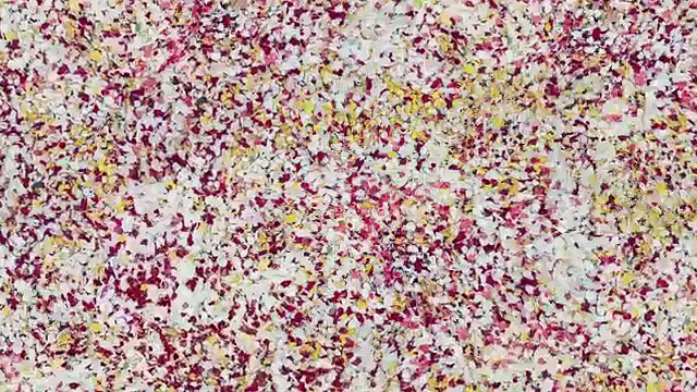 Costa Rica : un volcan de pétales explose dans un village