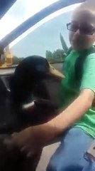 Un canard deviens fous de joie quand ce garçon rentre de l'école