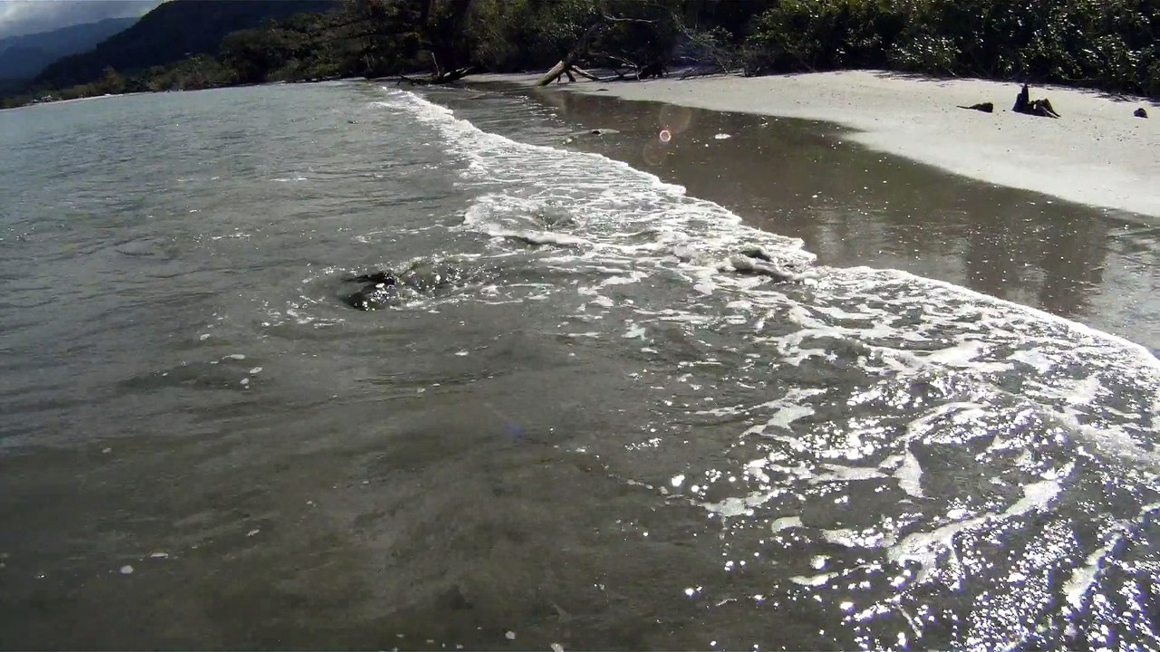 Nas praias de Ubatuba, em busca da vida, da felicidade,  da Natureza, dos mares, ,,,