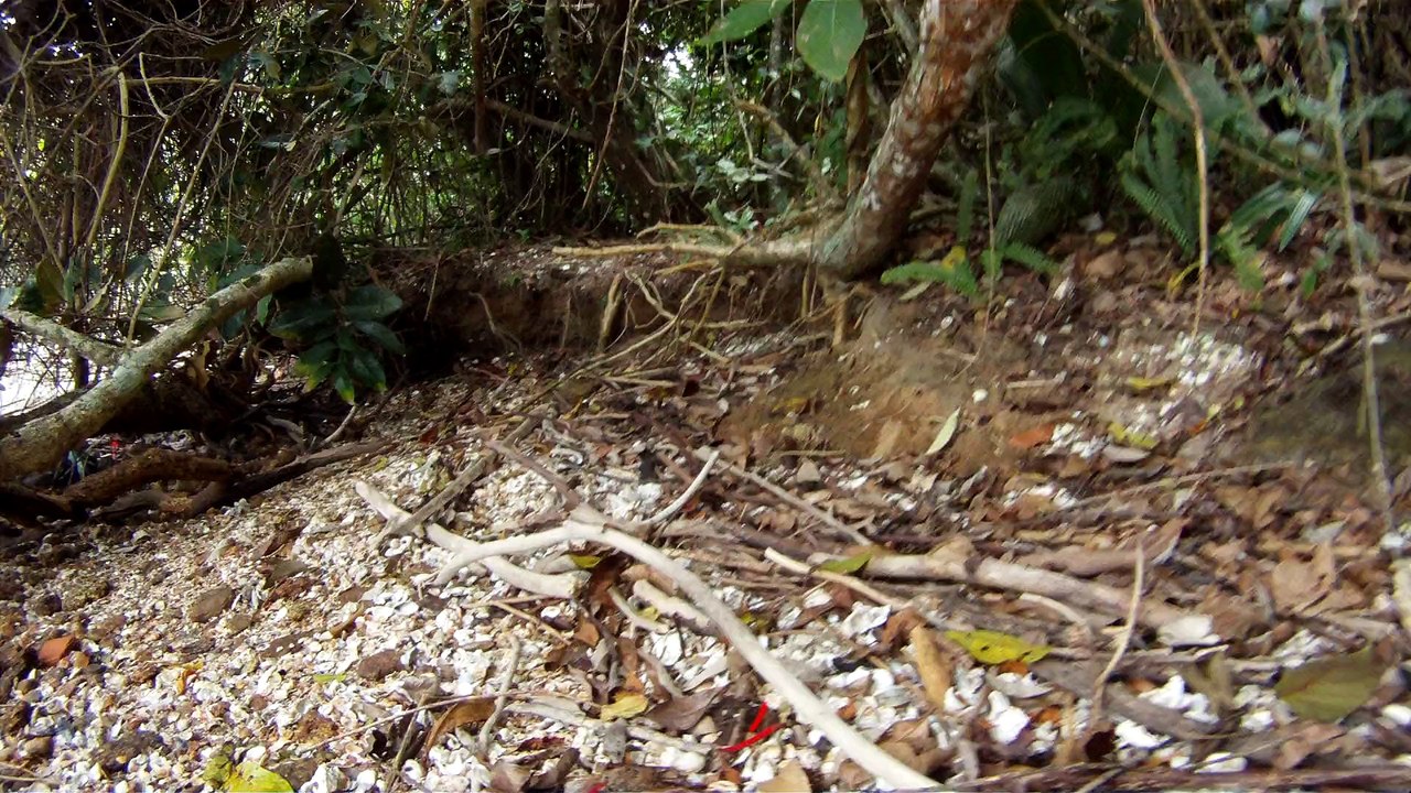Nas praias de Ubatuba, em busca da vida, da felicidade,  da Natureza, dos mares, ,,,