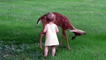 Sevimli bebek Bambi ile karşılaşırsa...