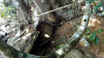 Nas praias de Ubatuba, em busca da vida, da felicidade,  da Natureza, dos mares, ,,,