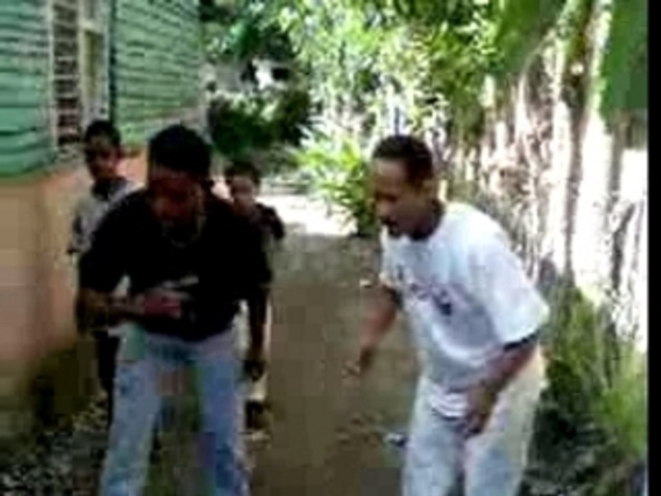 COMBAT DE COQ