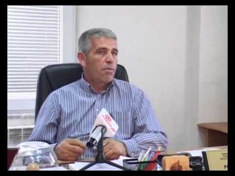 Rrezik nga qentë endacakë në Pollog