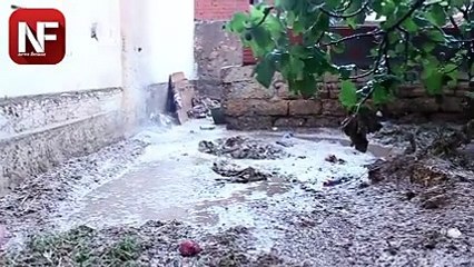 دولة بورقيبة الحداثة تغرق بعد عشر دقائق من الأمطار و الجماعة تجري باش تسيب سراق المليارات