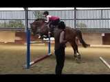 Jumping lesson with canter poles