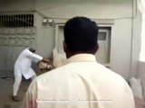Cow Qurbani Running of Dangerous Cow Kick