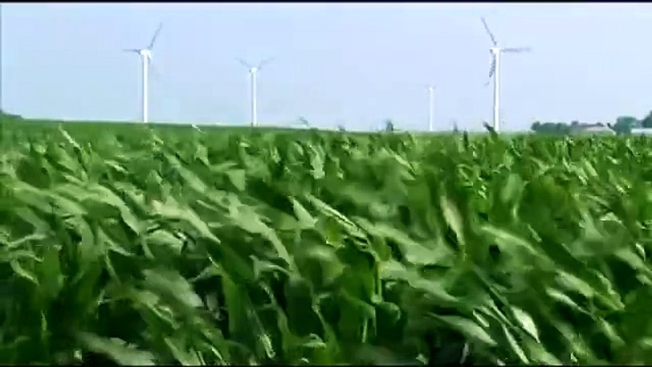 Easy Being Green: Iberdrola