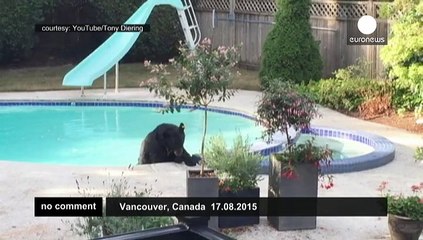 Bearing up under the strain of it all....