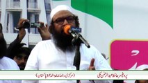Abdul Rehman Maki Markazi Leader JuD addressing to Nazria e Pakistan Confernce
