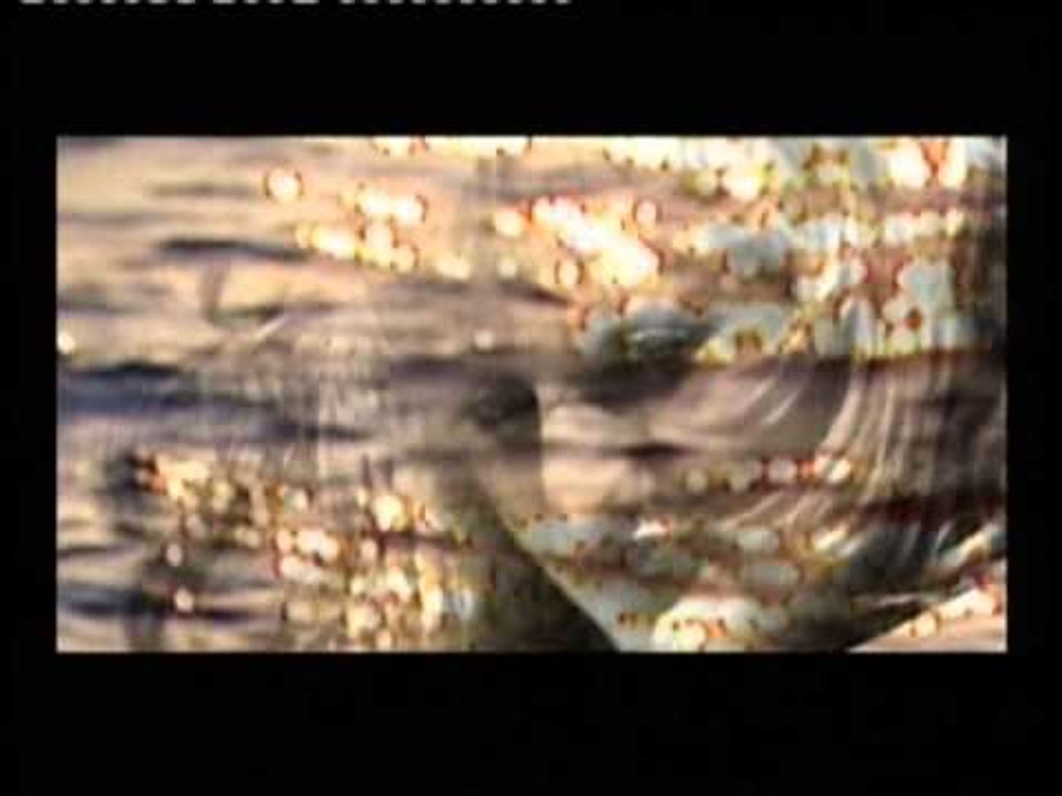 Maya - Bubulina (Official Video)