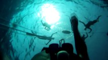 GoPro HD: Freediving Free Immersion