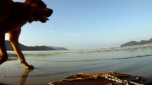 Navegação em reciclados, garrafas PET, nas praias as praias de Ubatuba, Brasil