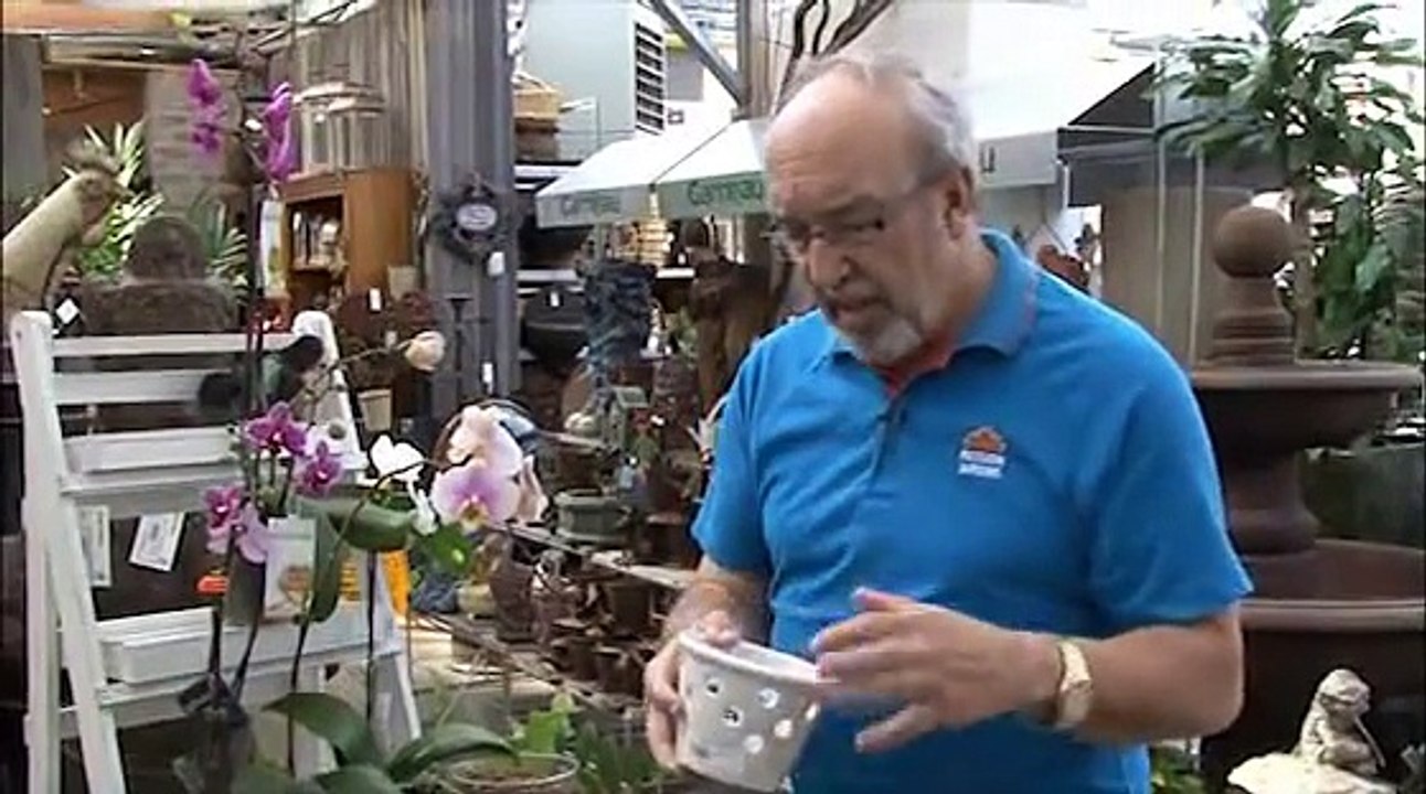 La culture des Orchidées