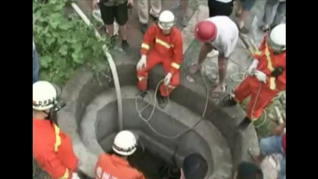 Firemen rescue buffalo from well