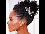 Black African American Women Best Pin Up Hairstyles