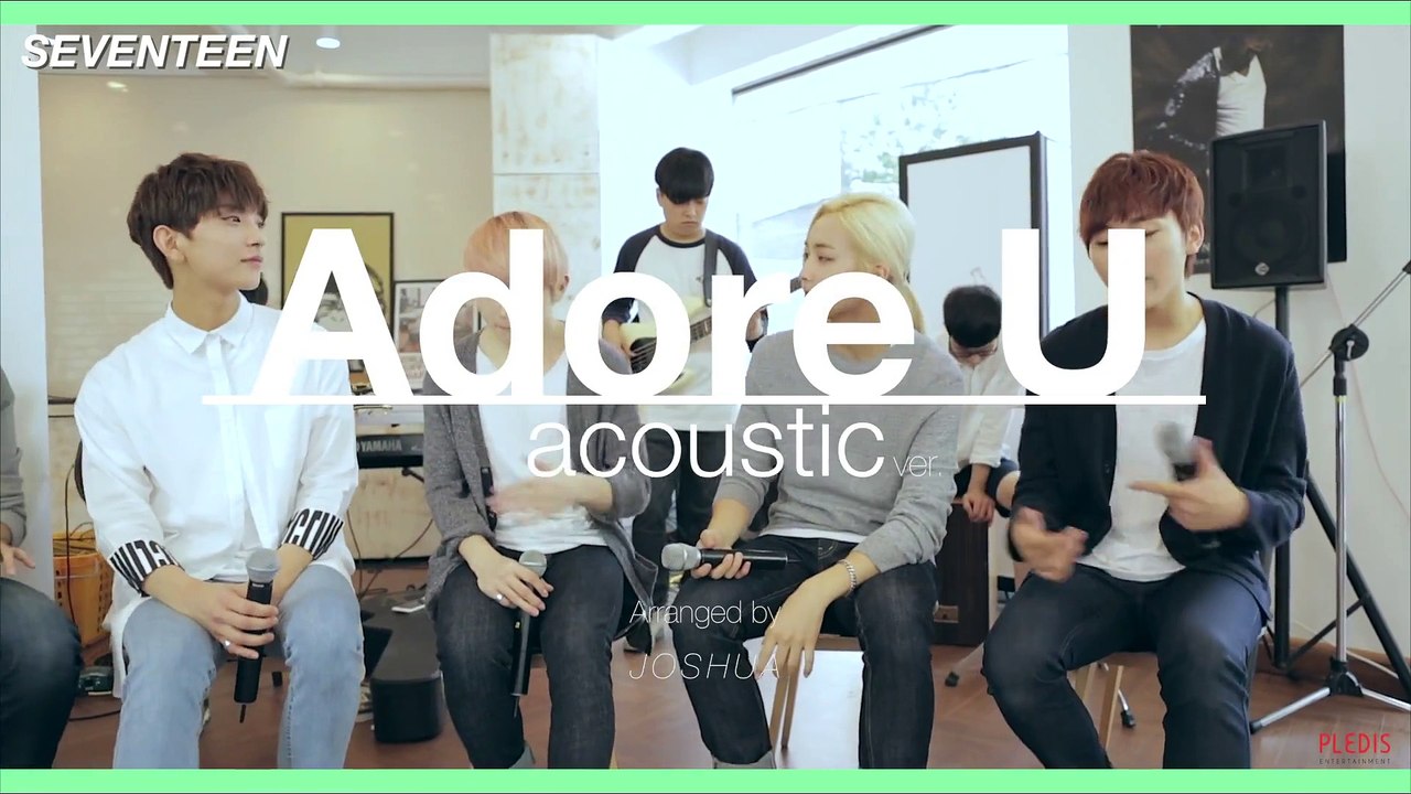 [繁體中字]SEVENTEEN - 疼惜你 아낀다 Adore U Acoustic Ver