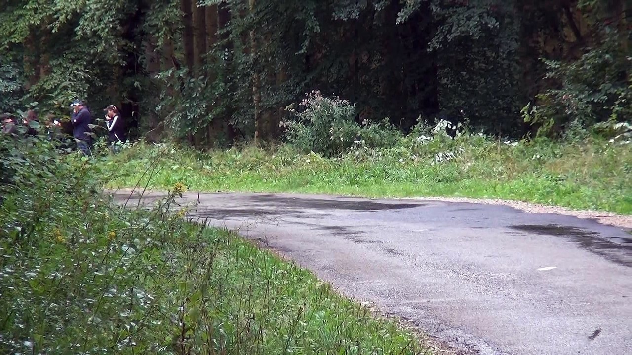 Rallye du Sel 2015 - Melvyn Parent