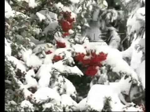 Evropë, 35 të vdekur nga stuhia e dëborës