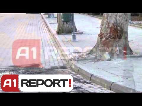 Korçë, makina përplaset me pemën,vdesin 2 të rinj,1 plagoset