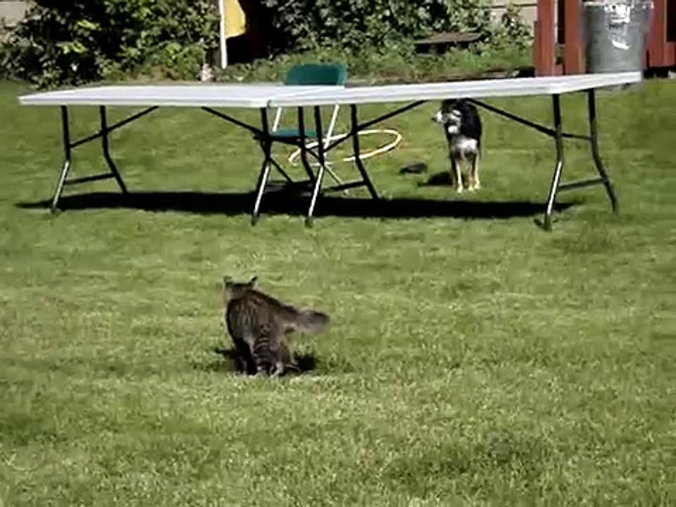 FIGHT! FIGHT! FIGHT! FIGHT! FIGHT! FIGHT! FIGHT! FIGHT!