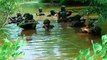 MAINE JANMA HAI TJE WATAN K LIYE -pak army song-pak army videos-pak army training - Video Dailymotion