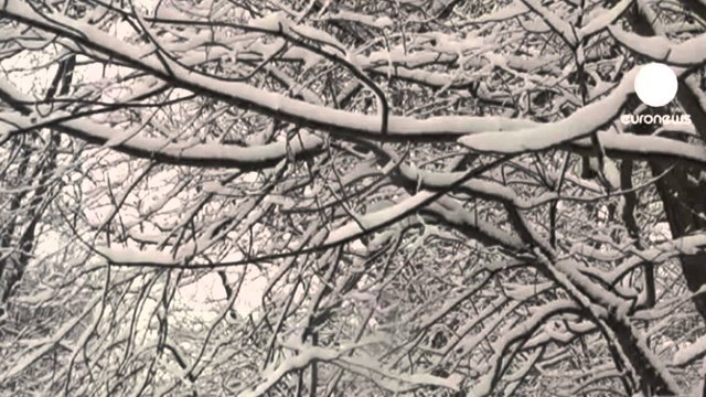 SHBA, 4 viktima nga stuhia e dëborës